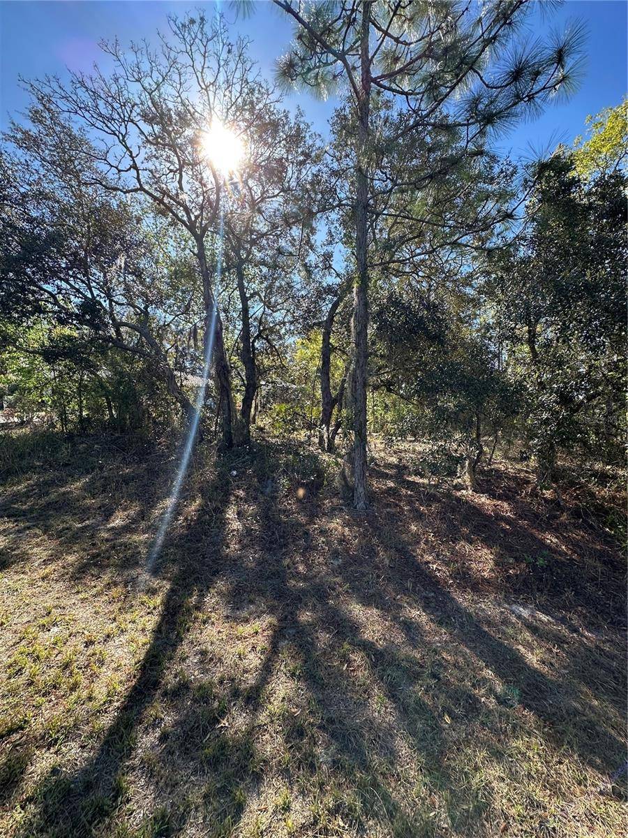 Homosassa, FL 34446,7 SWEETBAY CT
