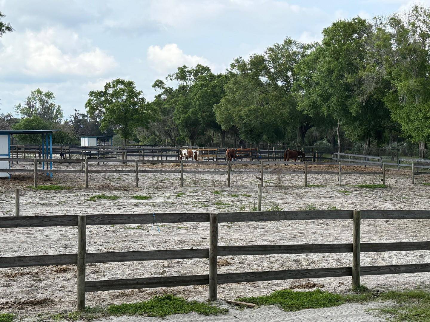 Odessa, FL 33556,16315 MCGLAMERY RD