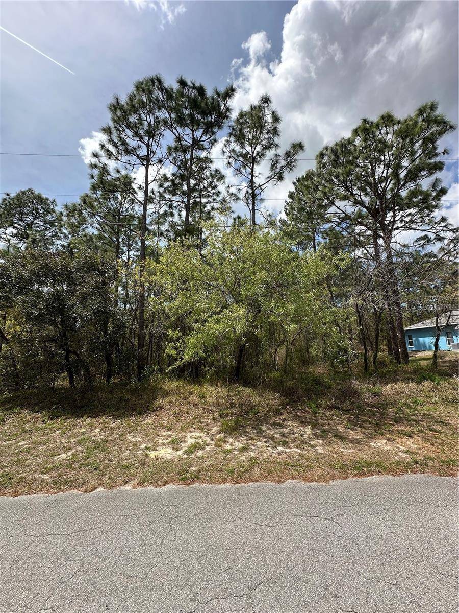 Homosassa, FL 34446,2 FRINGETREE CT