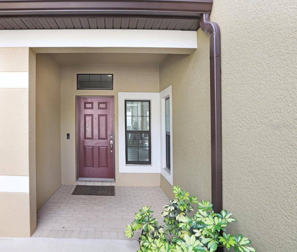 Tampa, FL 33626,11521 CROWNED SPARROW LN
