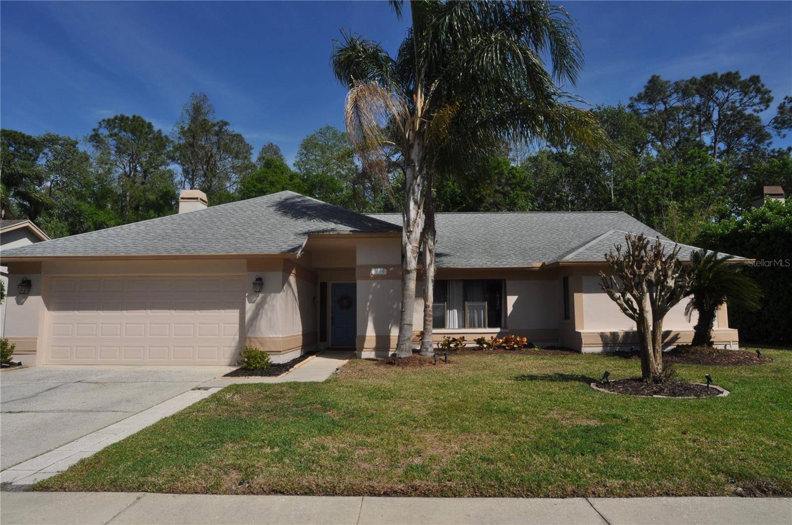 Palm Harbor, FL 34685,3189 ROXMERE DR