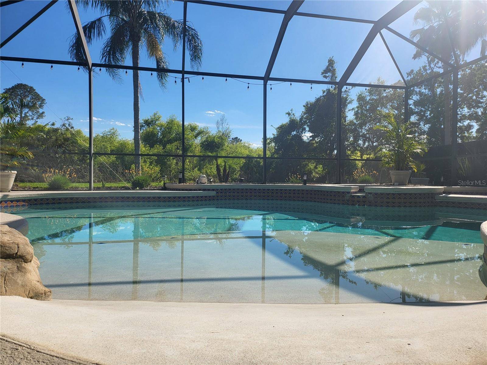 Land O Lakes, FL 34637,21654 DRAYCOTT WAY