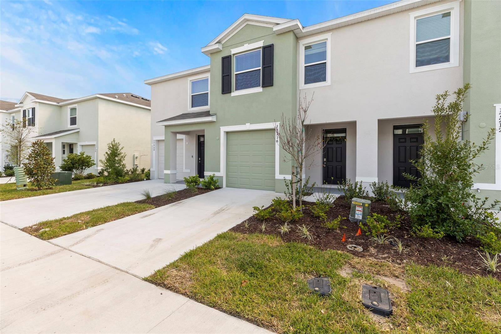 Land O Lakes, FL 34638,17216 BIGLEAF MAHOGANY LN