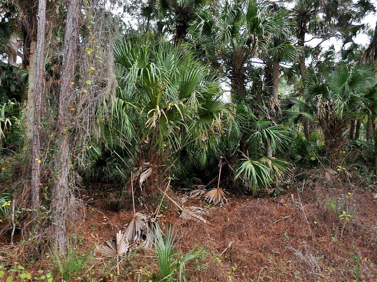 North Port, FL 34288,DAPHNE RD
