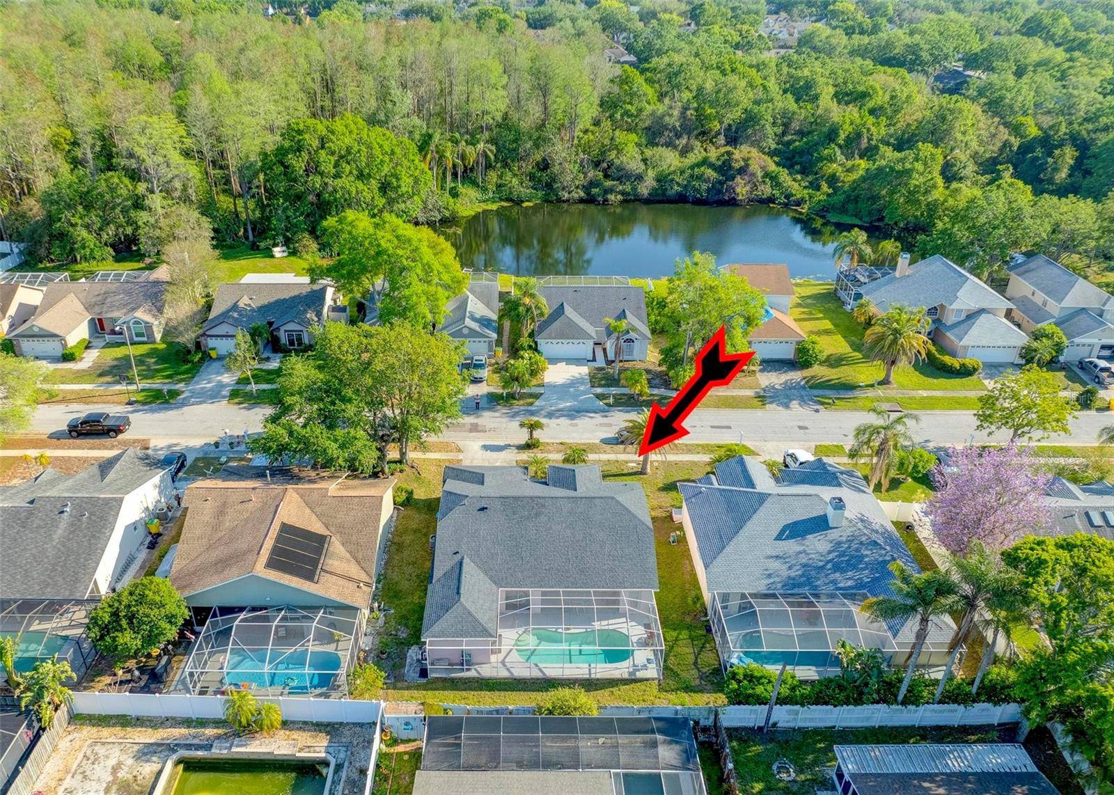 Palm Harbor, FL 34684,3051 JODI LN