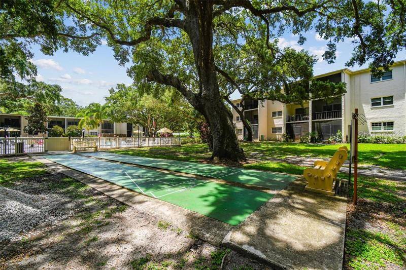 Dunedin, FL 34698,865 VIRGINIA CT #201
