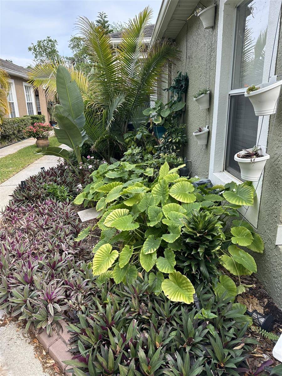 Tampa, FL 33647,19113 DOVES LANDING DR