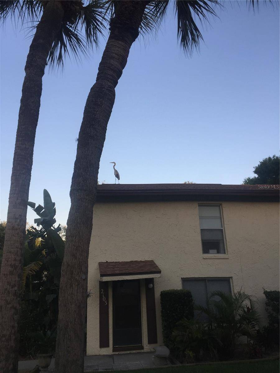 Largo, FL 33770,501 EAST BAY DR. #2003