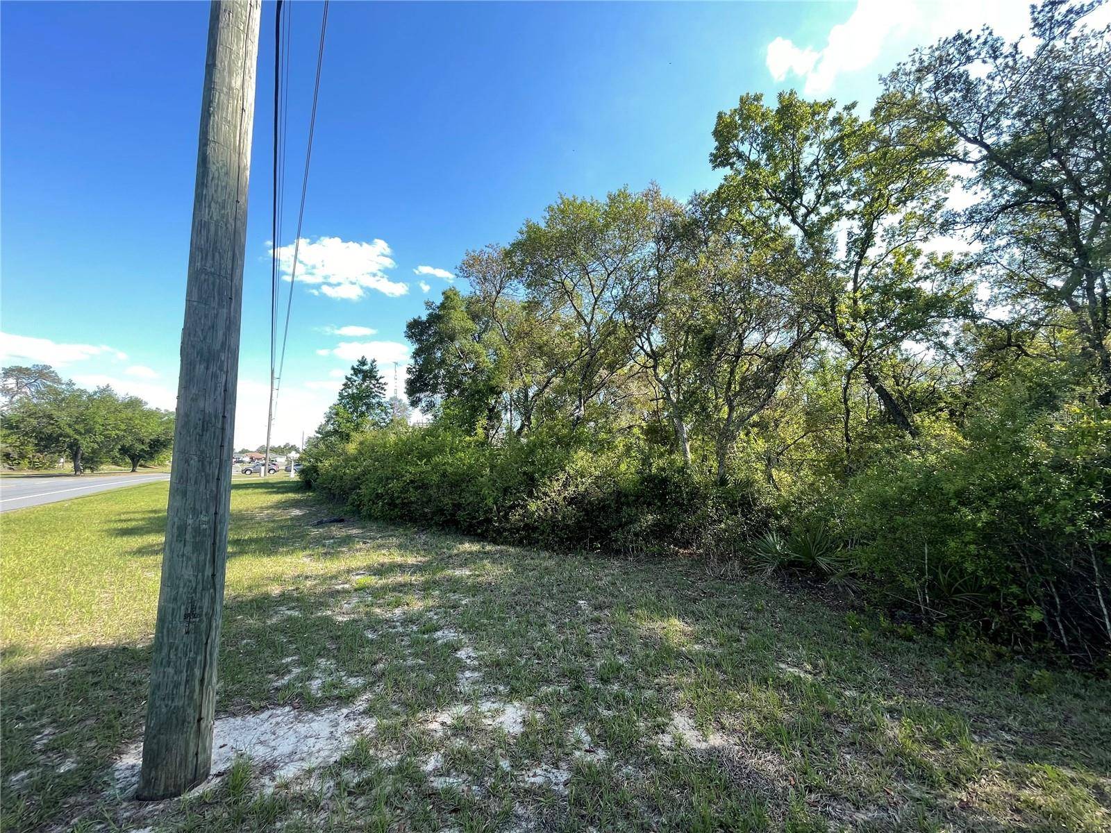 Ocala, FL 34473,Lot 2 MARION OAKS MNR