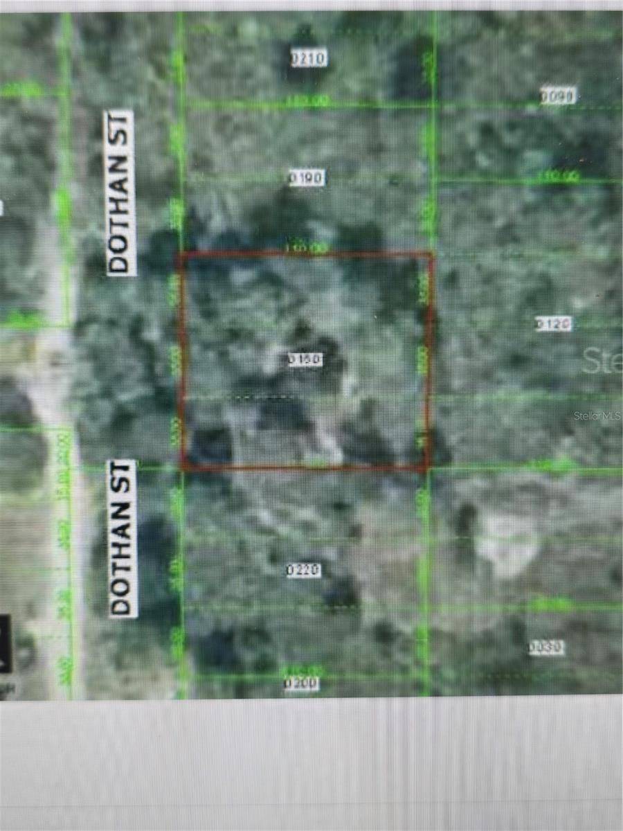 New Port Richey, FL 34654,0 DOTHAN