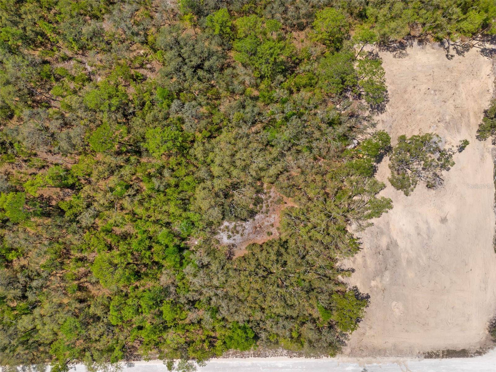 Webster, FL 33597,7467 ATWOOD DR
