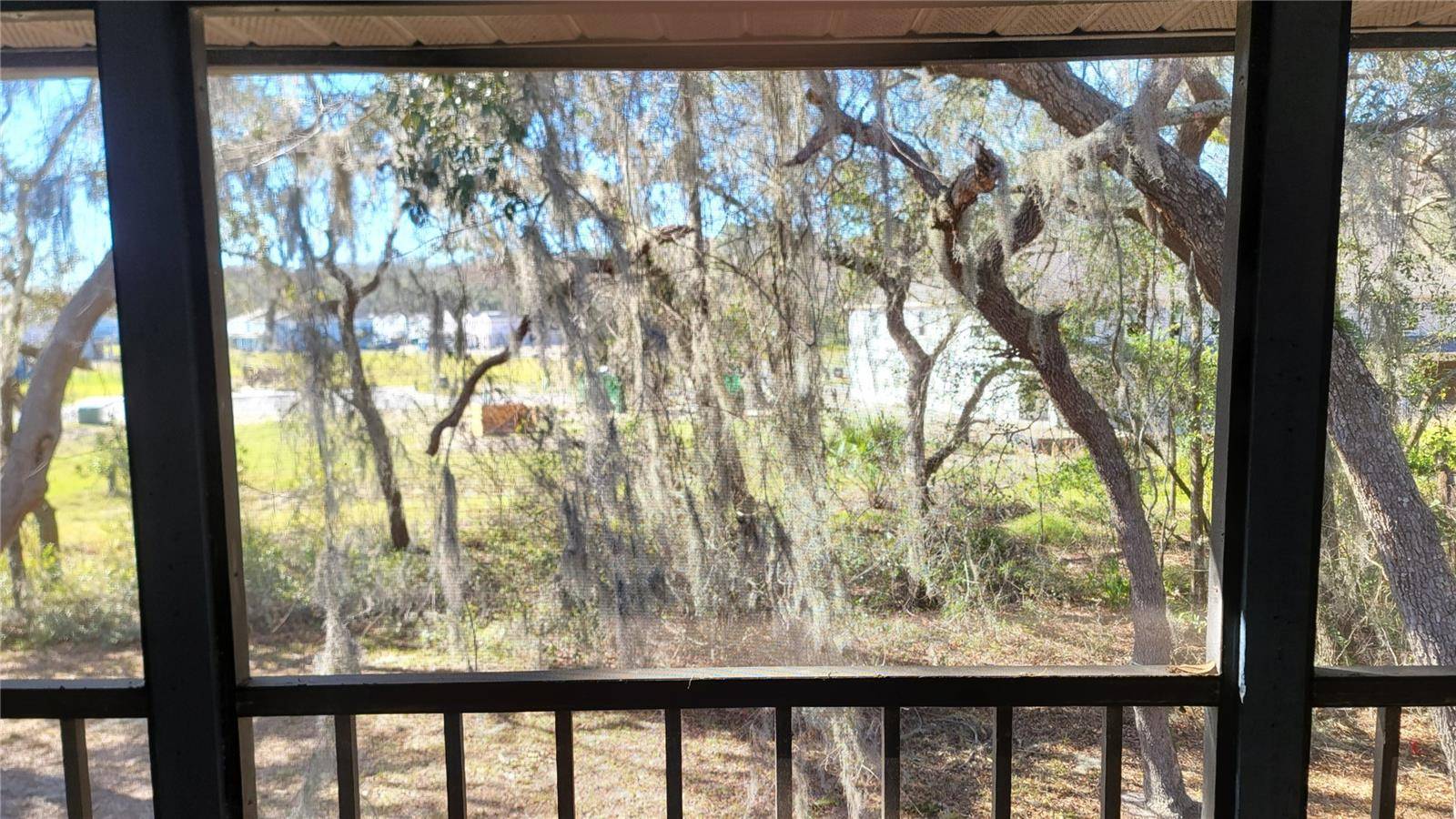 New Port Richey, FL 34654,11411 PIKE CT #6