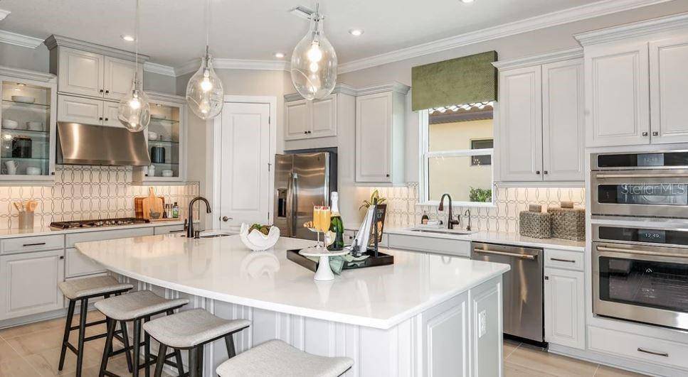 Wesley Chapel, FL 33543,29936 RUSCO CT