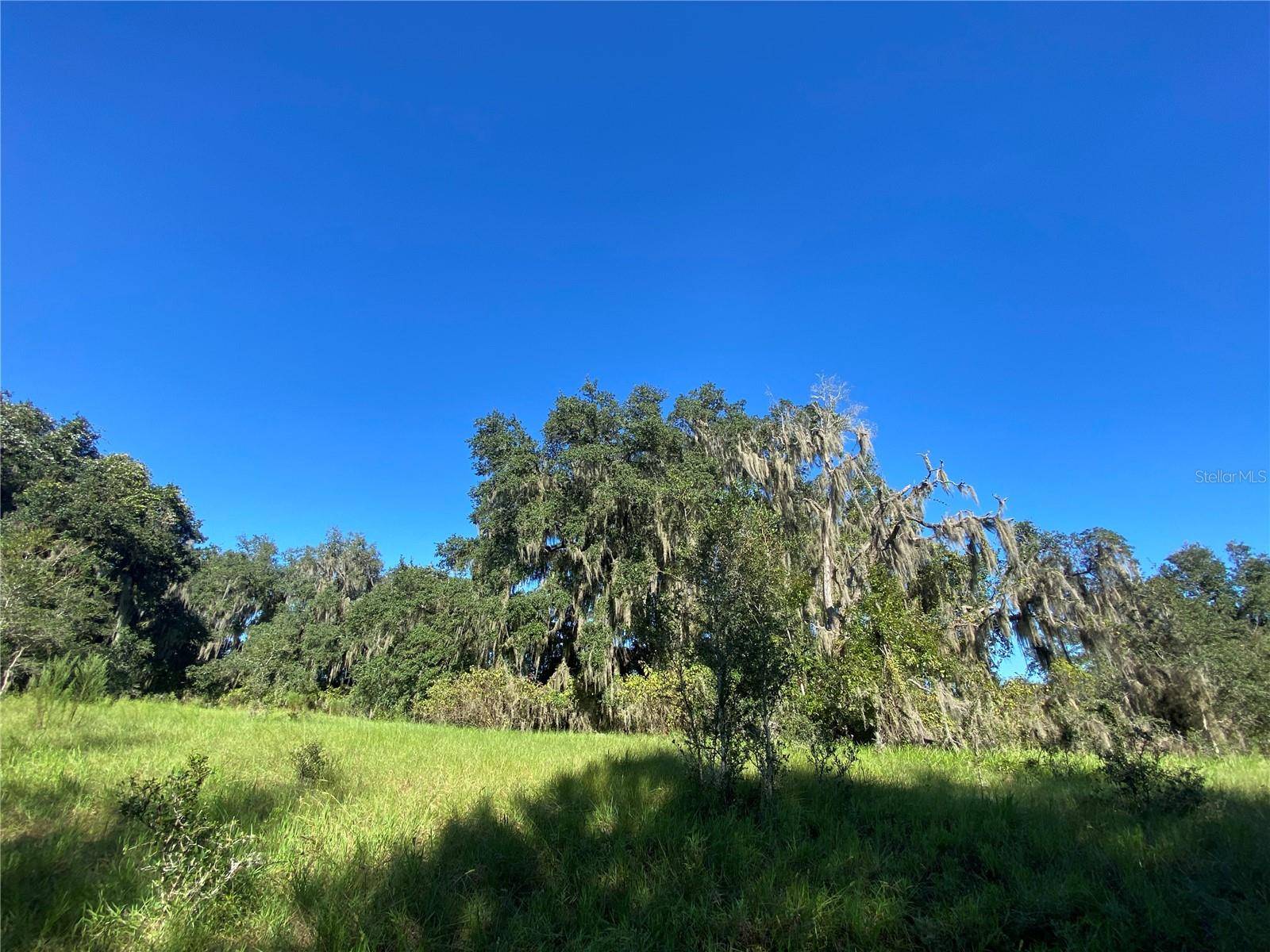 Floral City, FL 34436,7373 E SAVANNAH CT