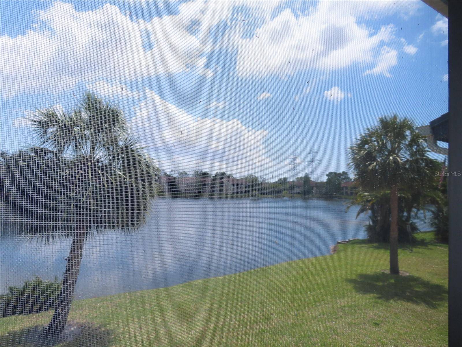 Oldsmar, FL 34677,224 CYPRESS LN #224