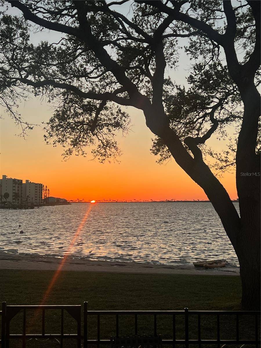 Dunedin, FL 34698,2700 BAYSHORE BLVD #519