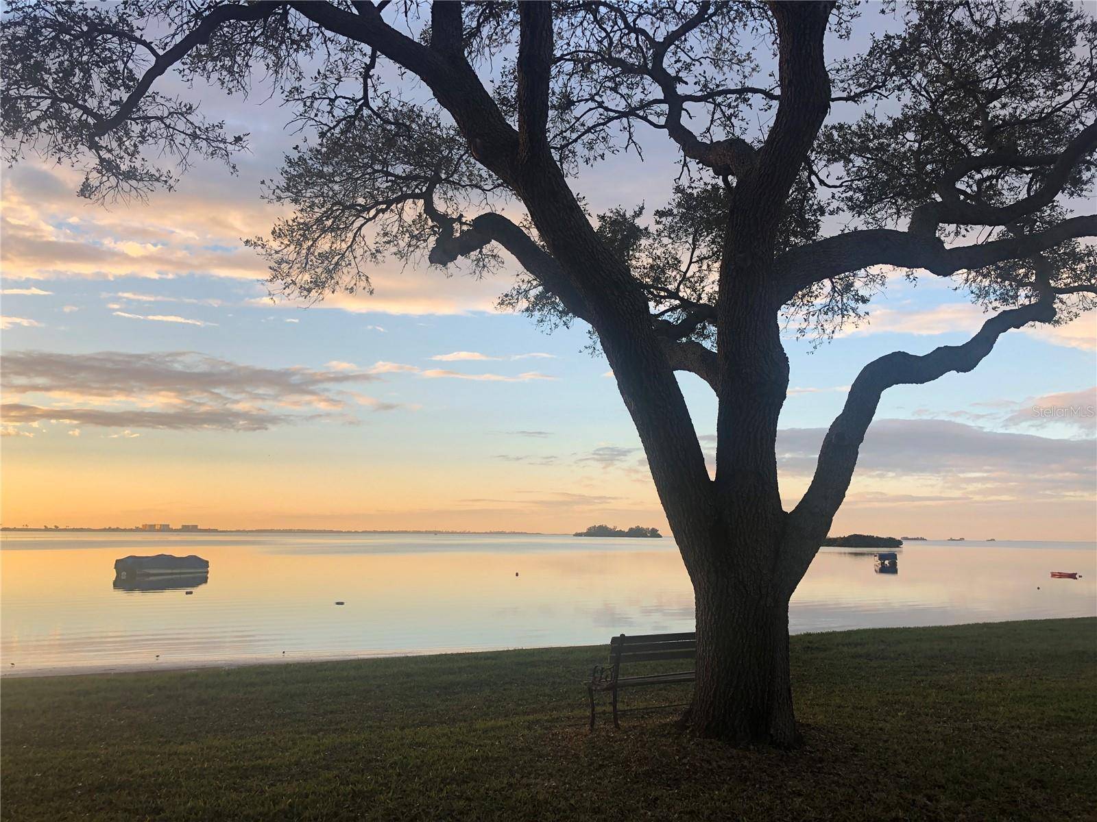 Dunedin, FL 34698,2700 BAYSHORE BLVD #519