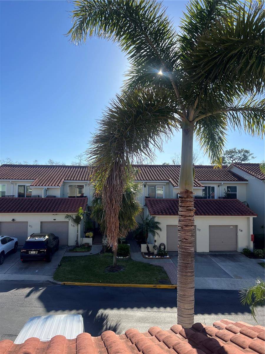 Dunedin, FL 34698,2700 BAYSHORE BLVD #519