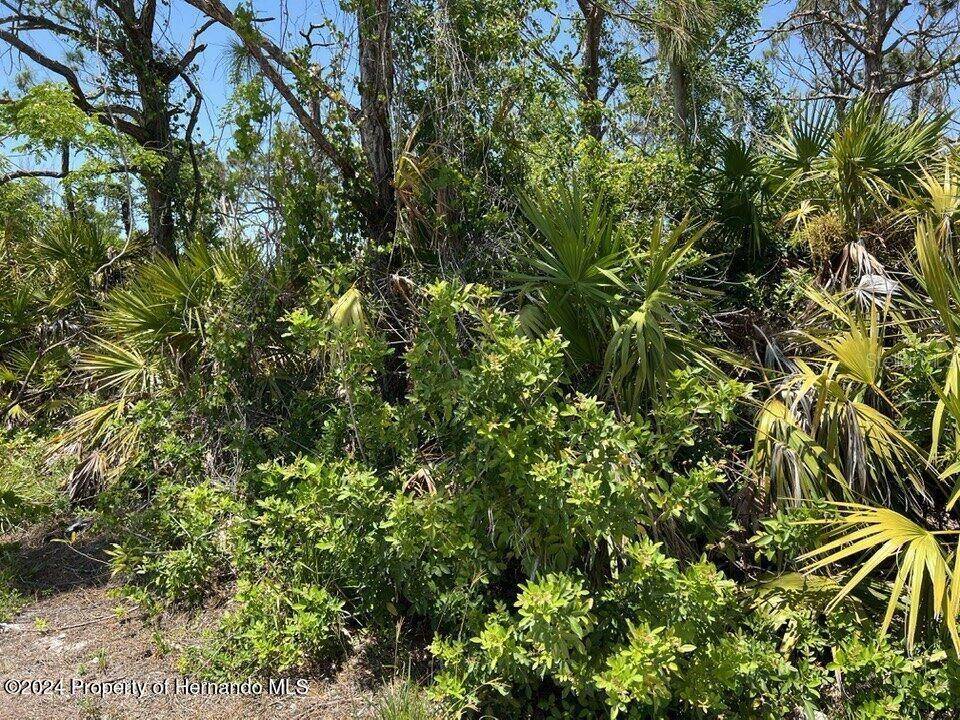 St James City, FL 33956,3714 MYERS LN