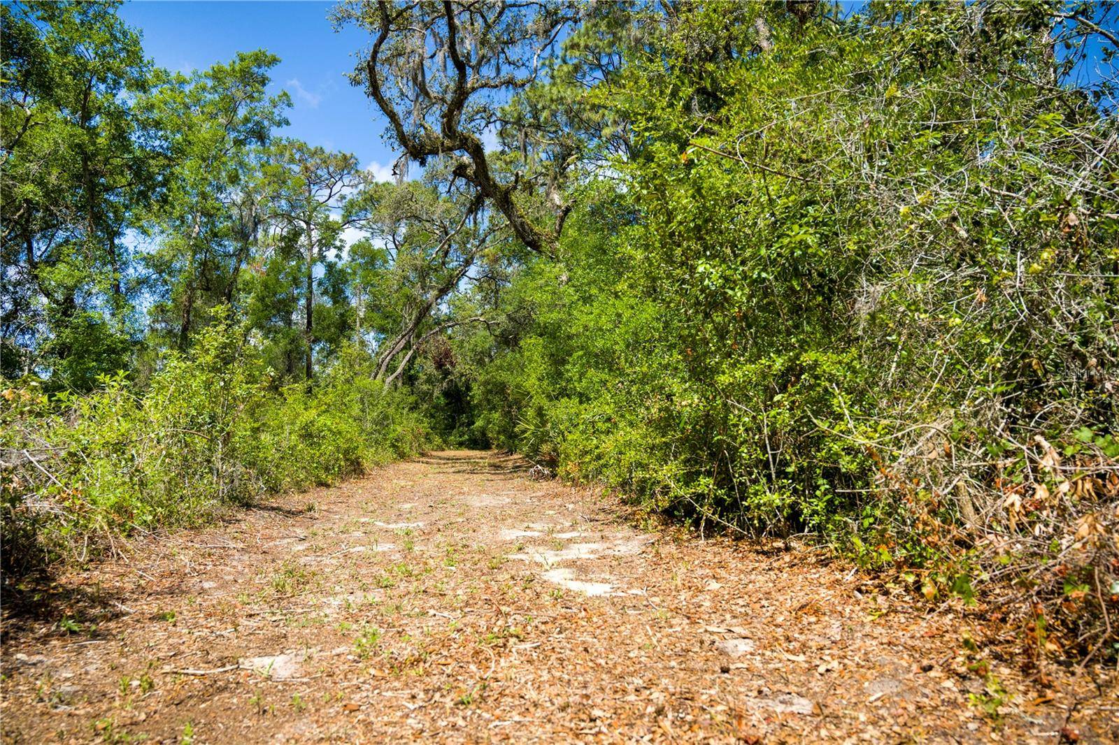 Webster, FL 33597,10722 CR 683D