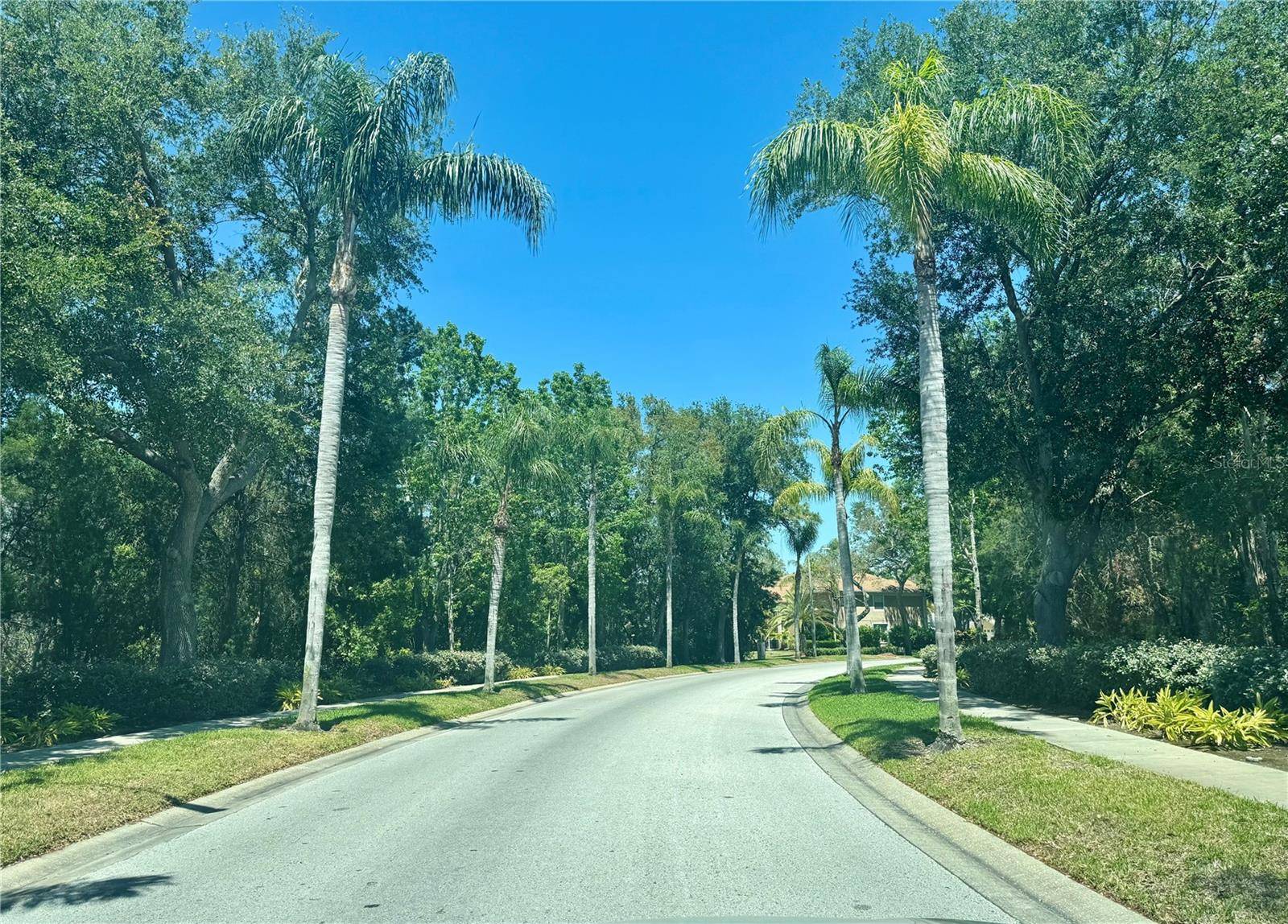 Tarpon Springs, FL 34689,476 DENISE ST