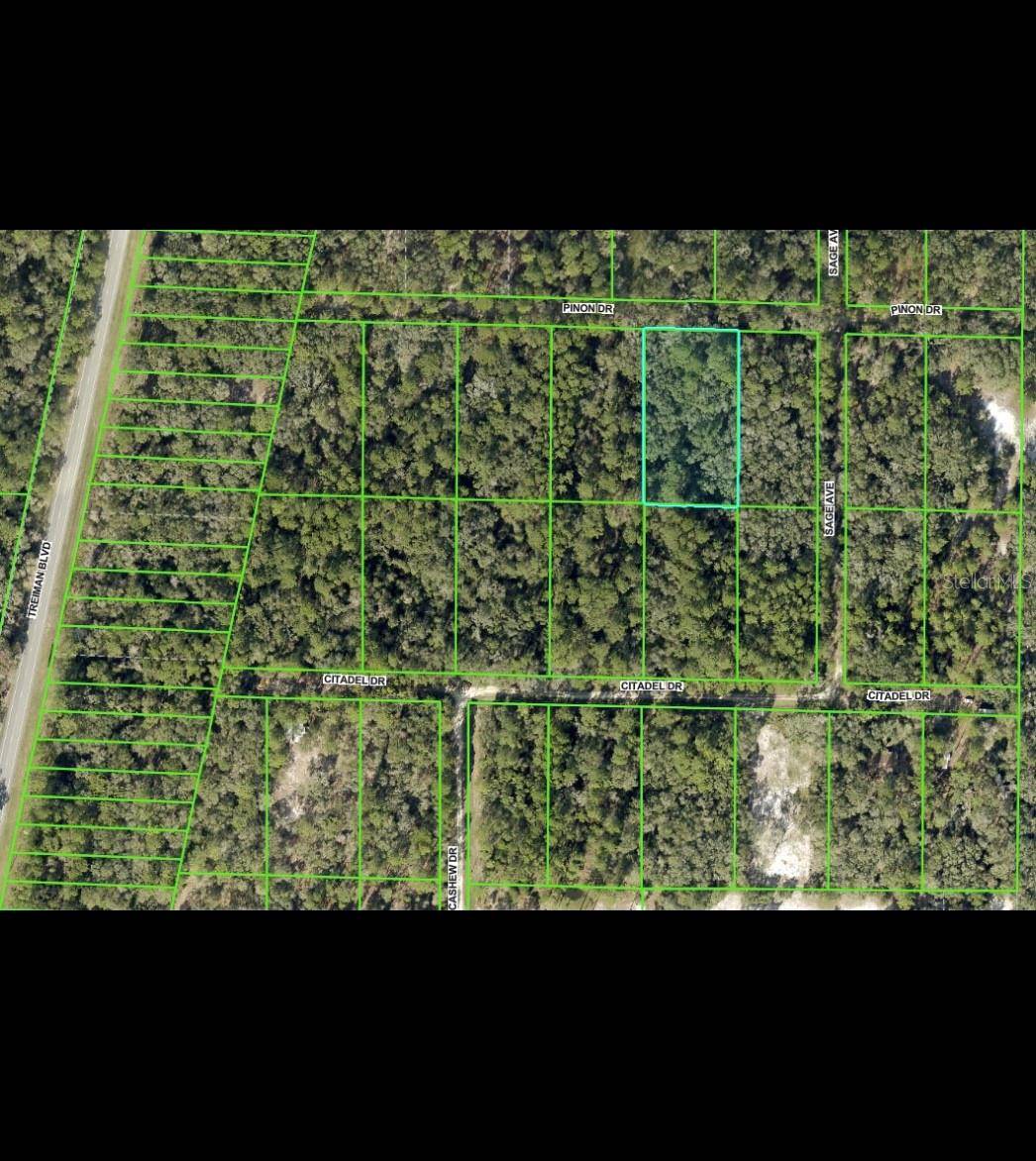 Webster, FL 33597,PINON DR