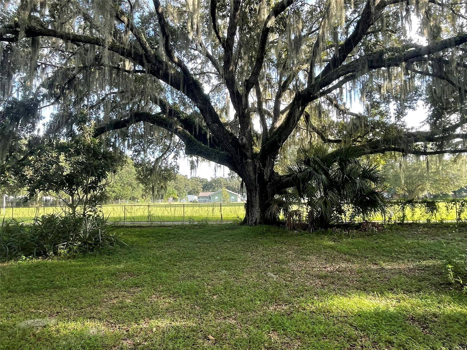 Lithia, FL 33547,8585 CAREY RD