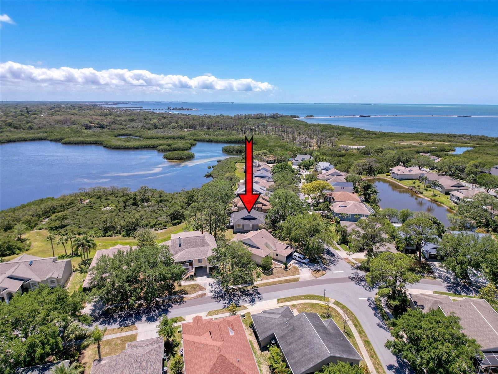 Tarpon Springs, FL 34689,1003 TEAL POINTE
