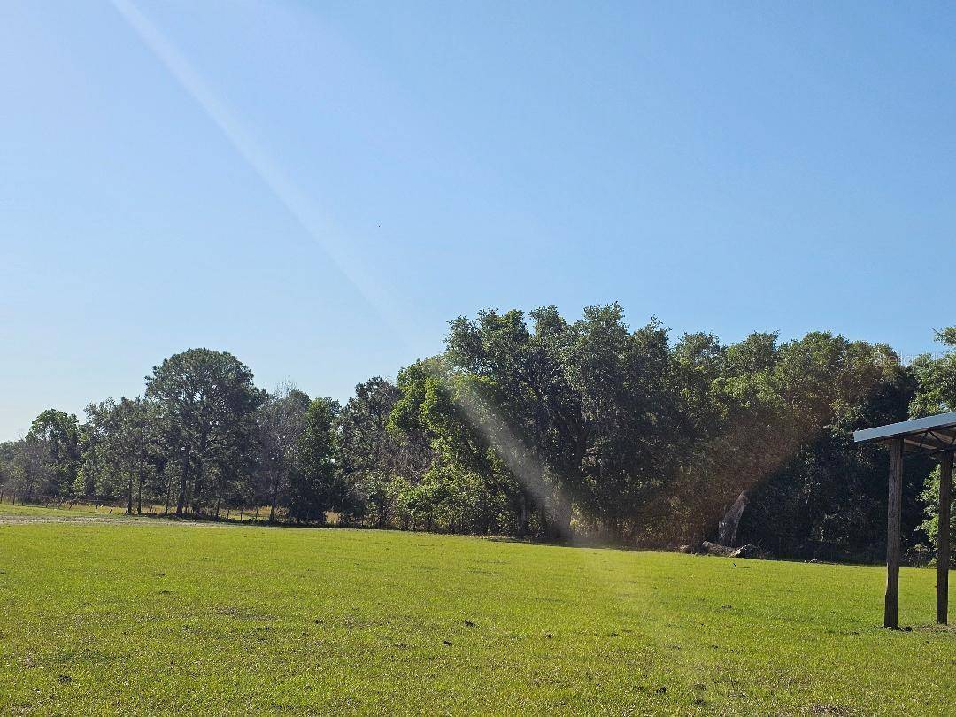 Dade City, FL 33523,ARENA RD