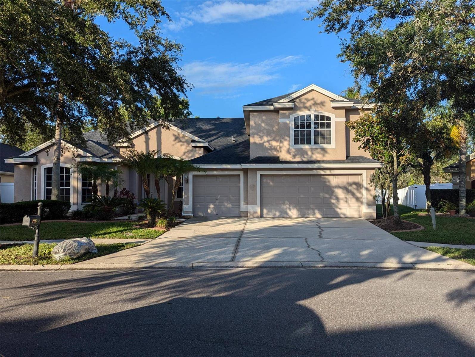 Tampa, FL 33647,19116 NATURE PALM LN