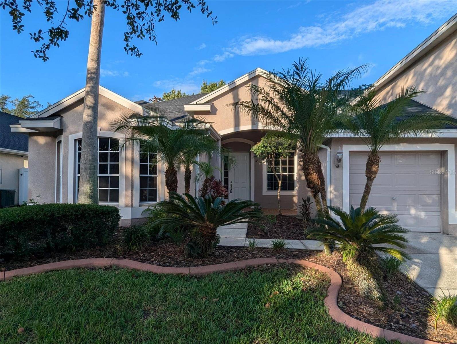 Tampa, FL 33647,19116 NATURE PALM LN