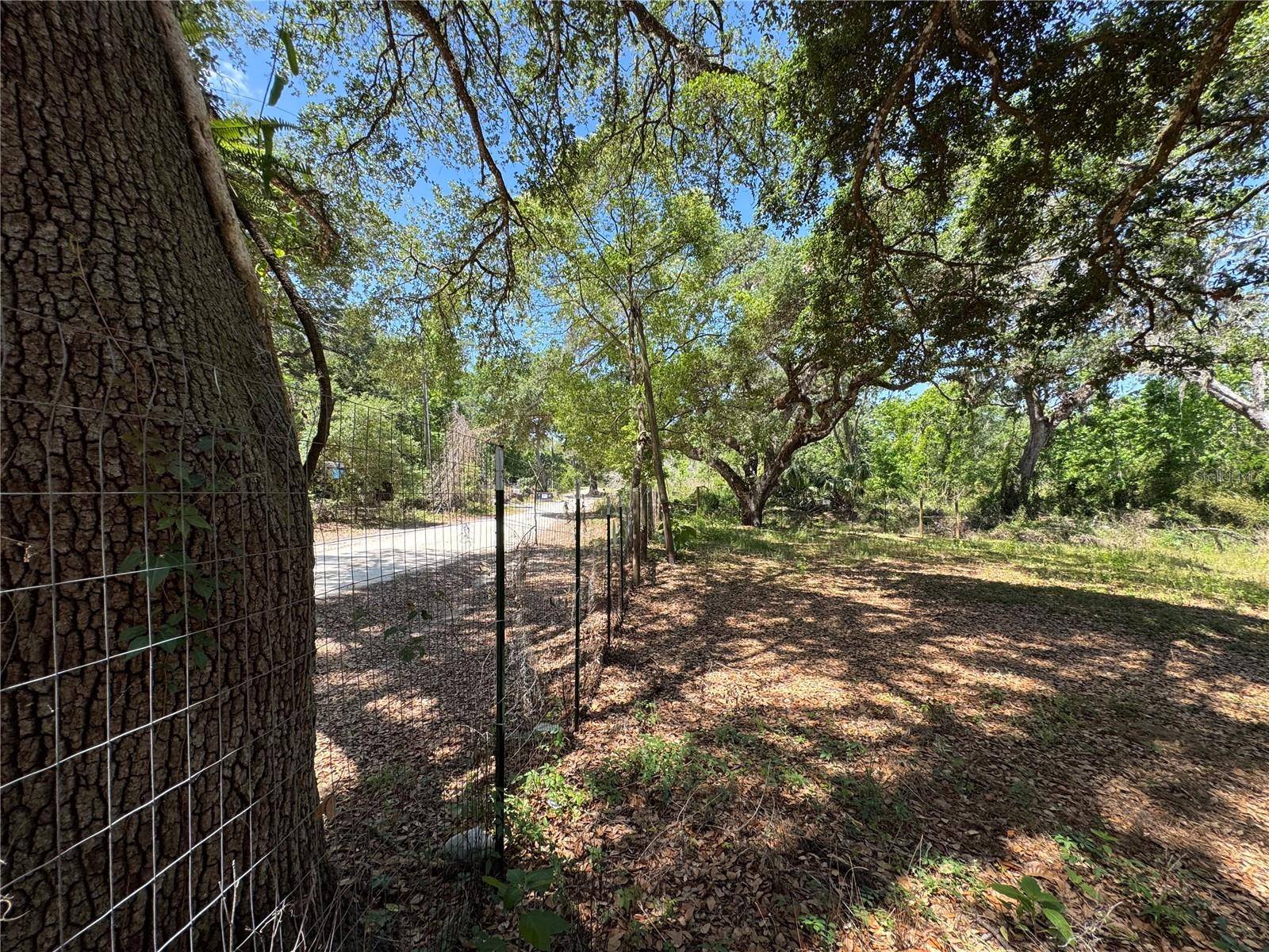 Dade City, FL 33523,TANNAHILL ST