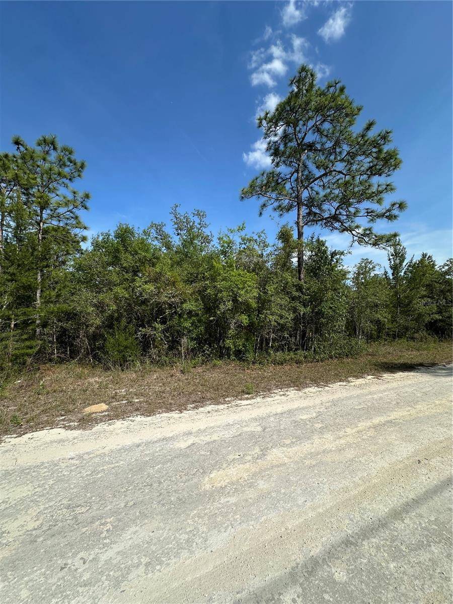 Brooksville, FL 34614,14106 EASTERN PHOEBE RD
