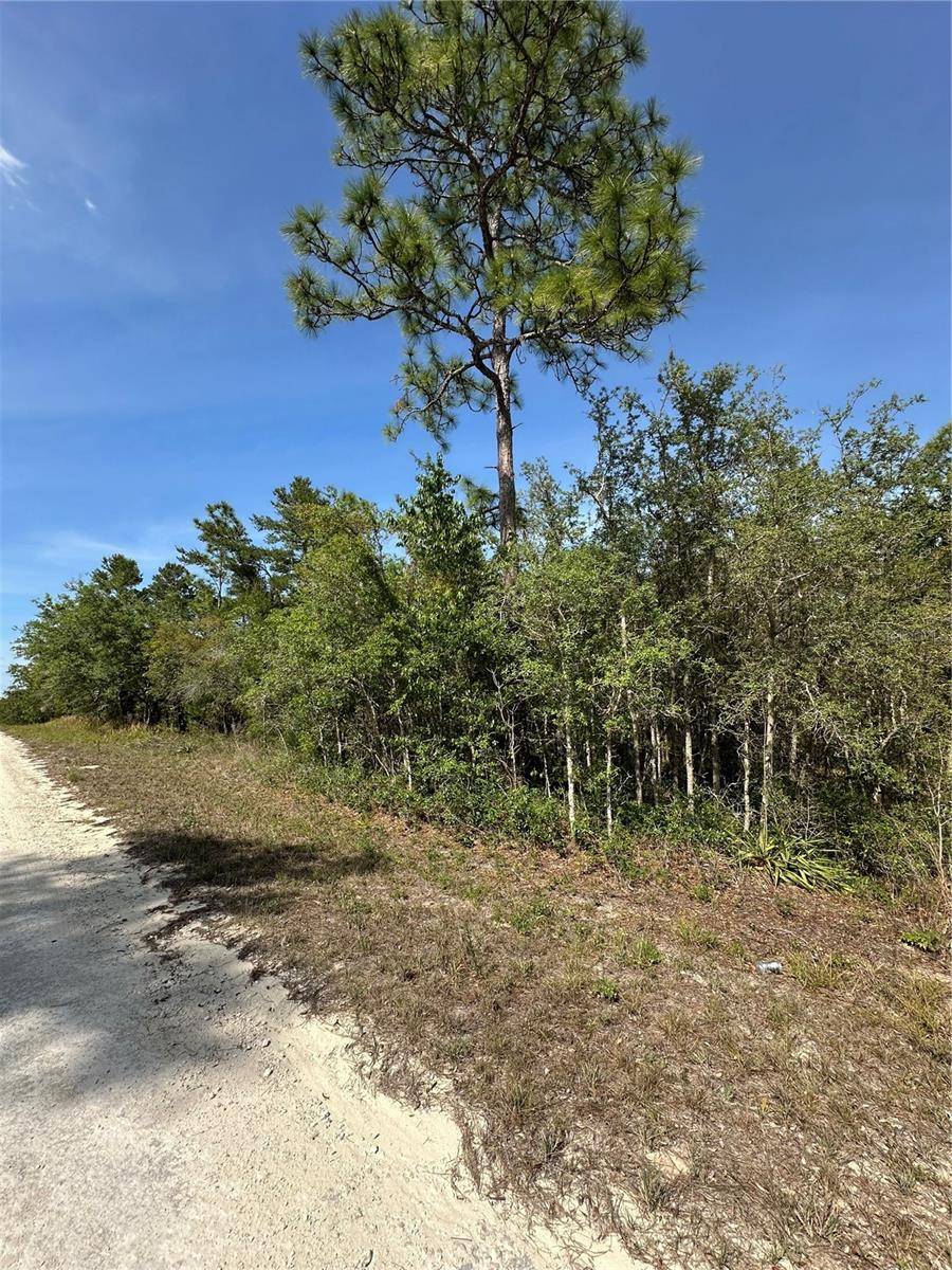 Brooksville, FL 34614,14106 EASTERN PHOEBE RD
