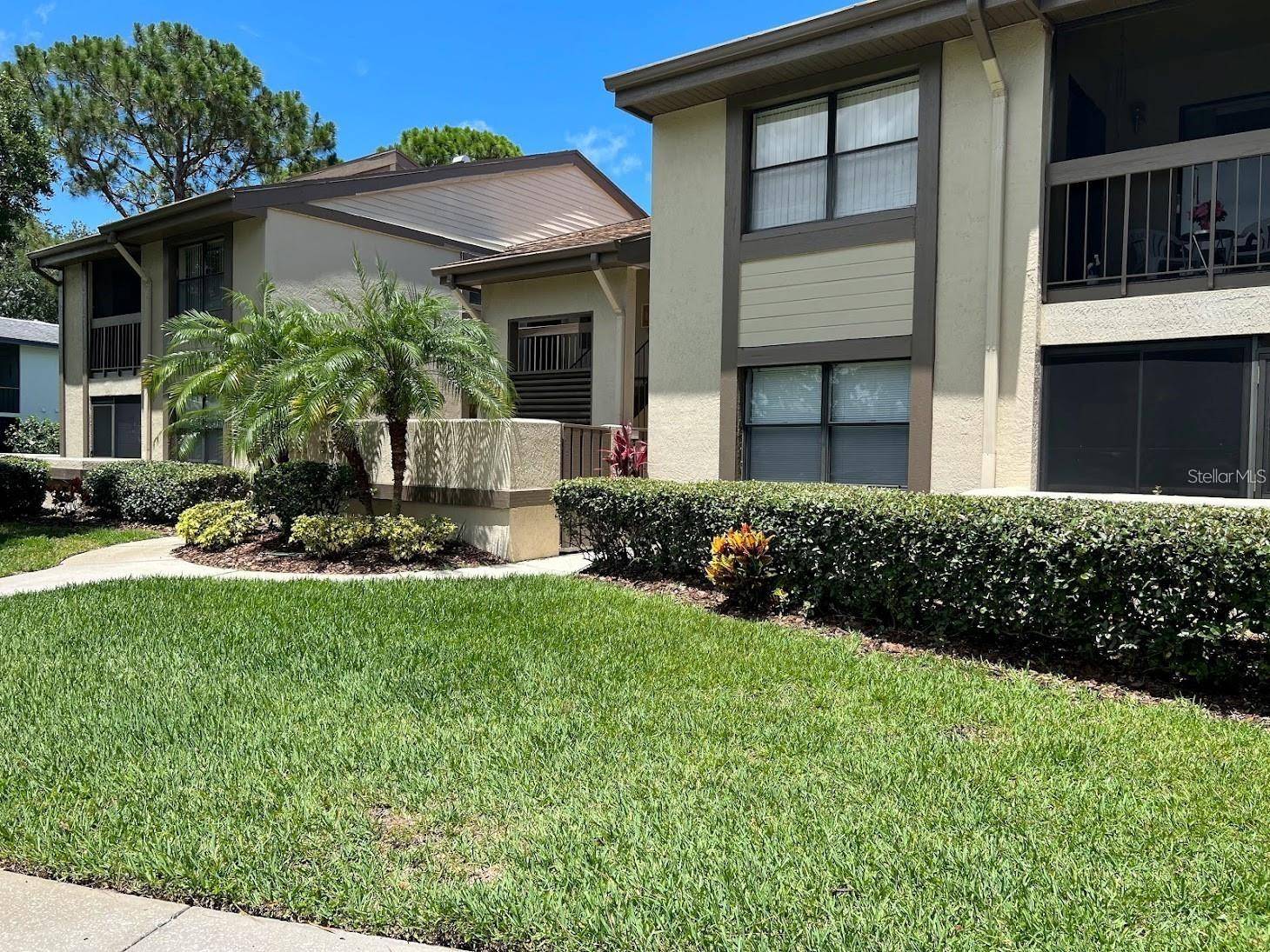 Oldsmar, FL 34677,333 WOODLAKE WYNDE