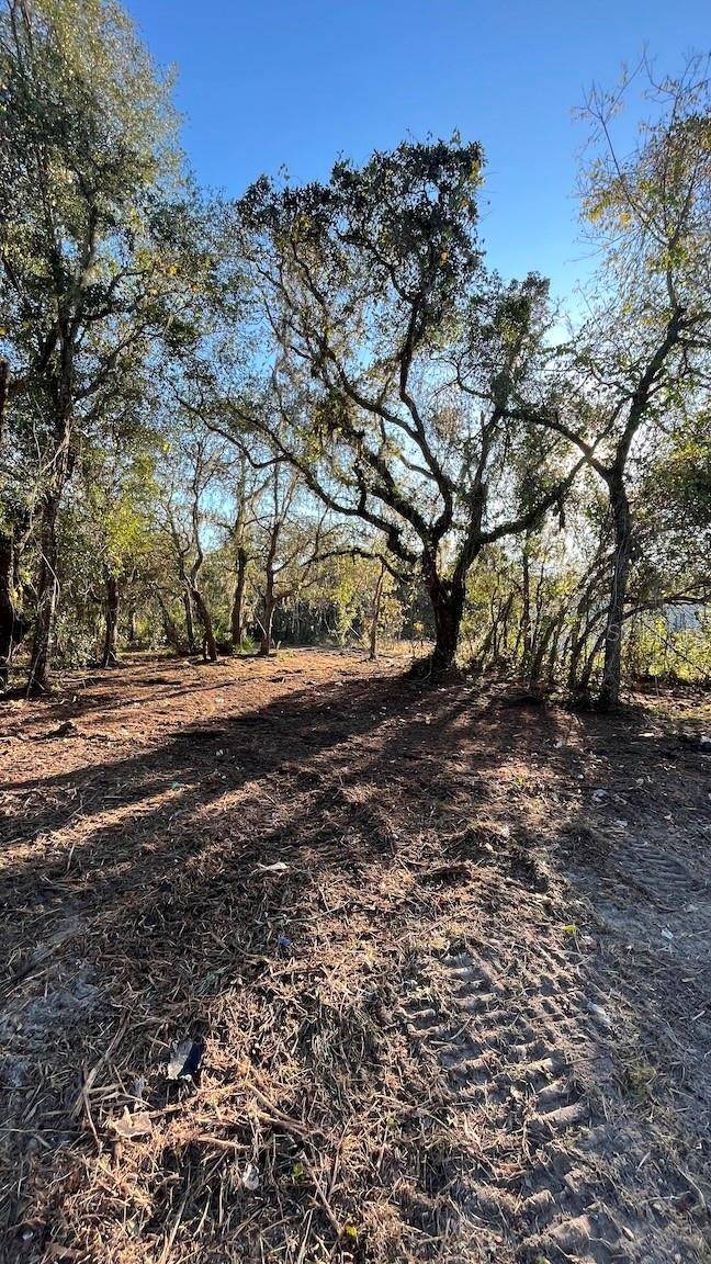New Port Richey, FL 34654,LOTS 56-57 HAGAR DRIVE