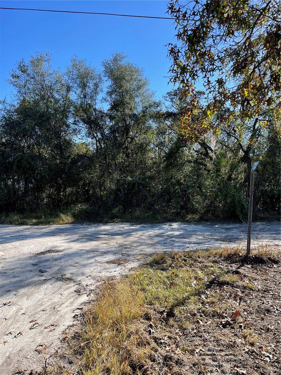 New Port Richey, FL 34654,LOTS 56-57 HAGAR DRIVE