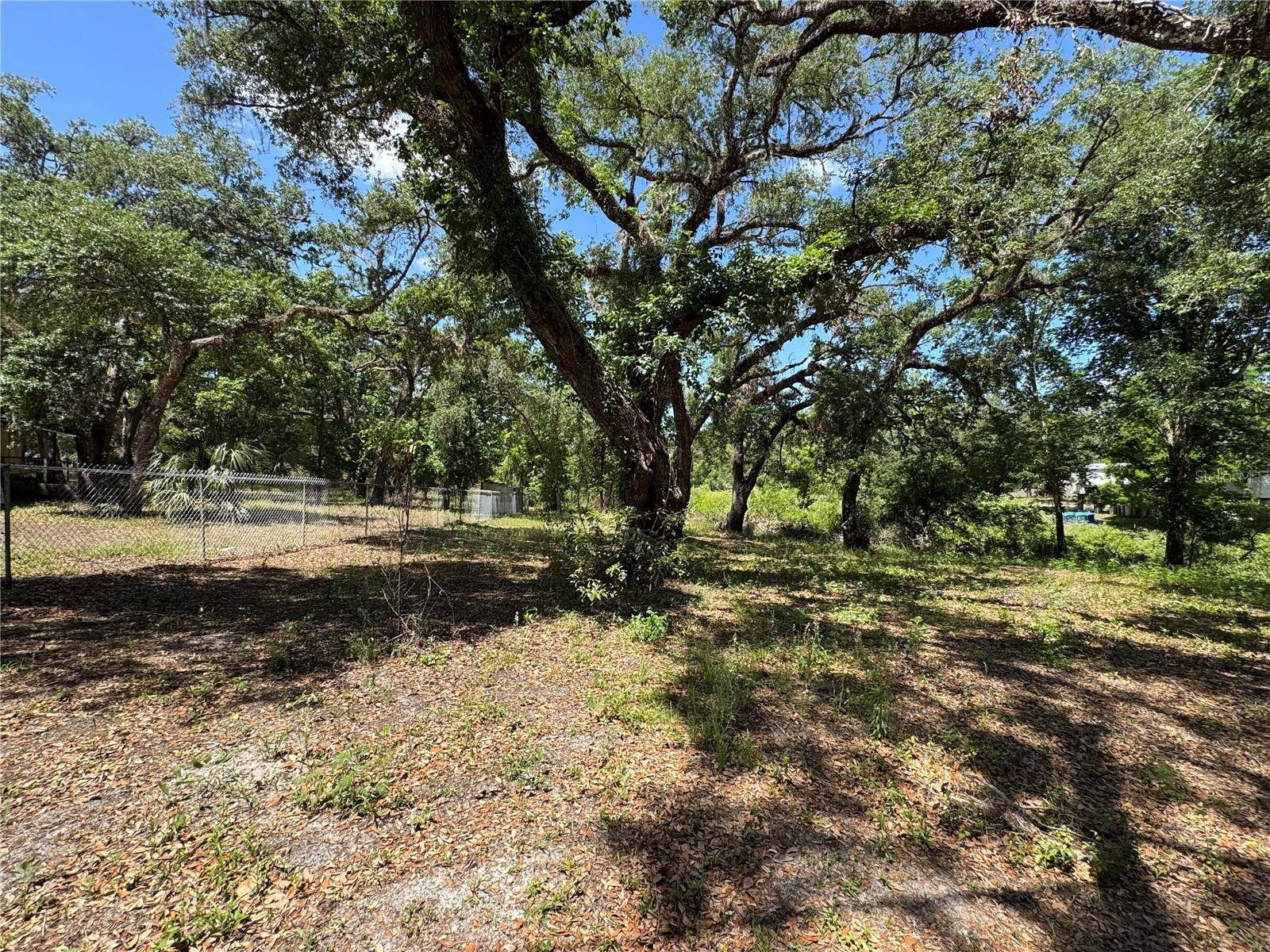 Dade City, FL 33523,TURTLE ST