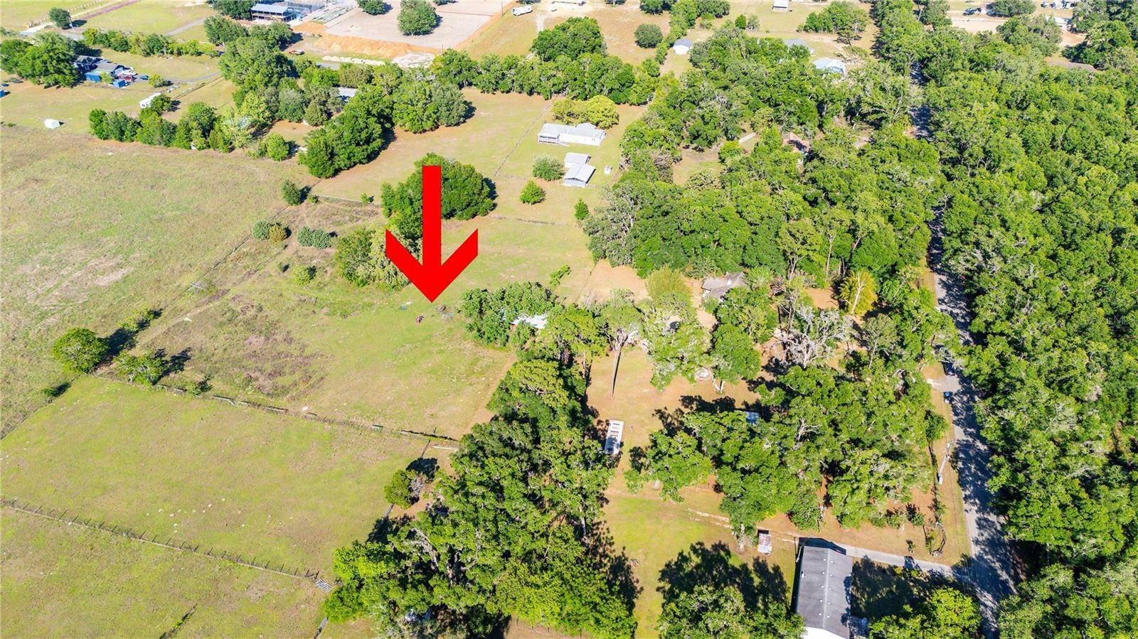 Brooksville, FL 34602,27477 OLD TRILBY RD