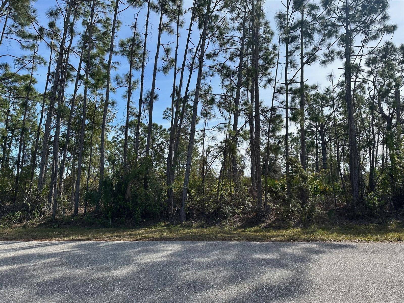 Port Charlotte, FL 33981,8258 DITTMAR ST