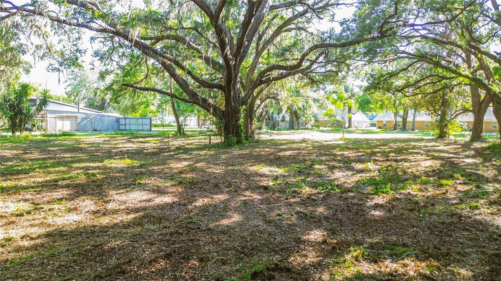 Zephyrhills, FL 33542,23RD ST