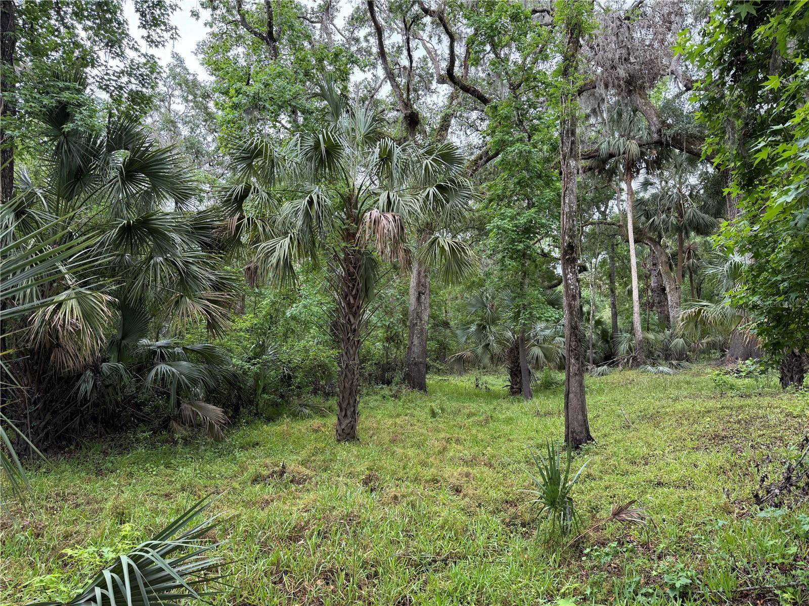 Valrico, FL 33596,COCONUT COVE