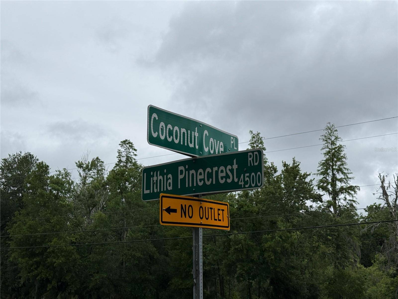 Valrico, FL 33596,COCONUT COVE