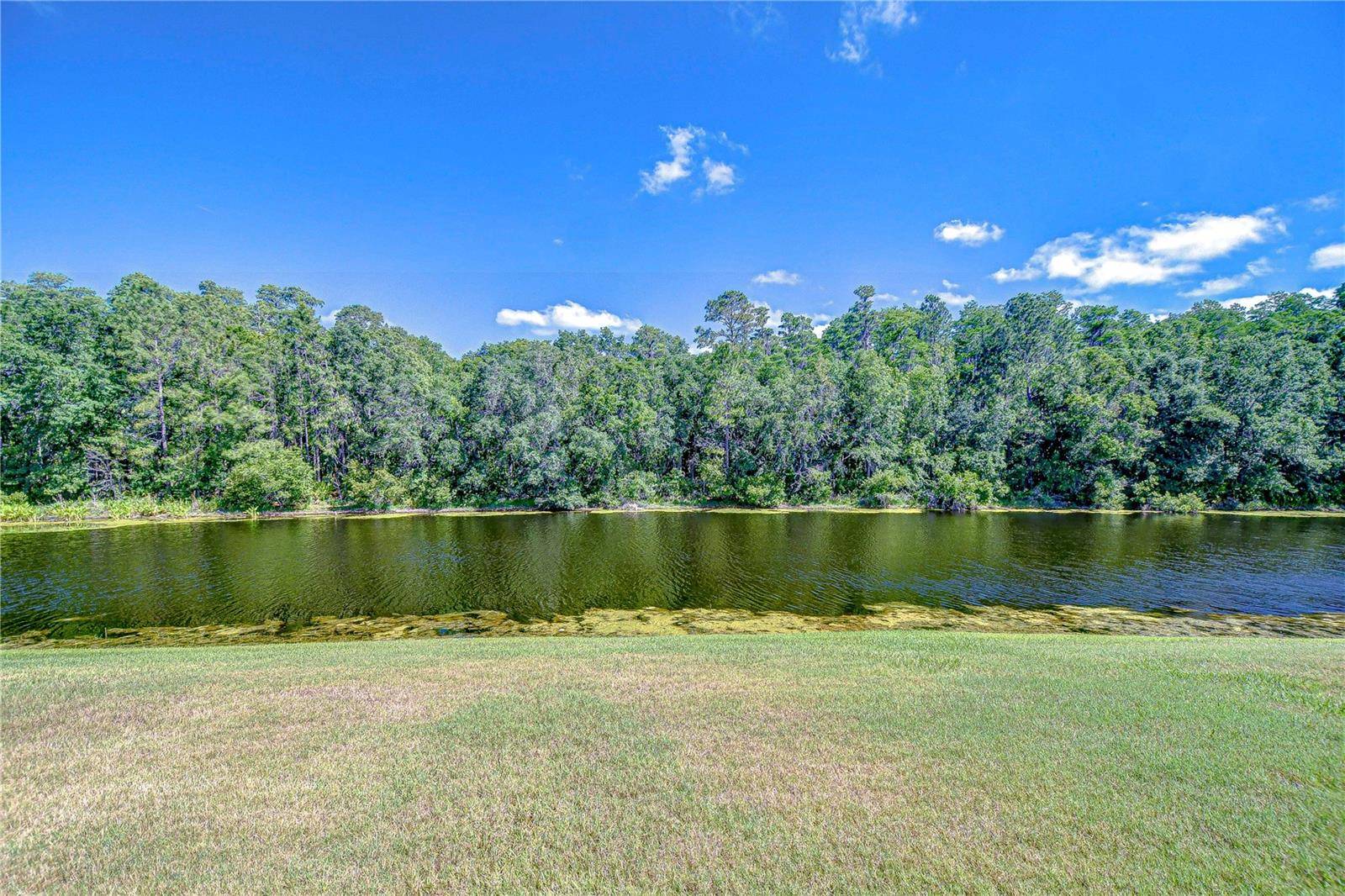 Tampa, FL 33647,8474 DUNHAM STATION DR