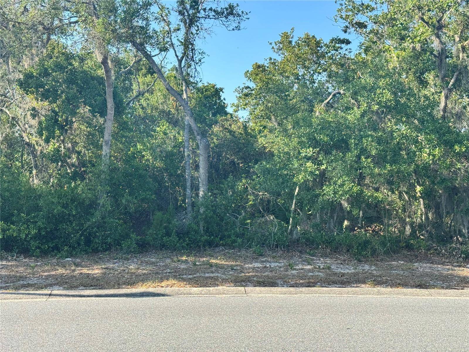 Weeki Wachee, FL 34607,6111 WATERS WAY