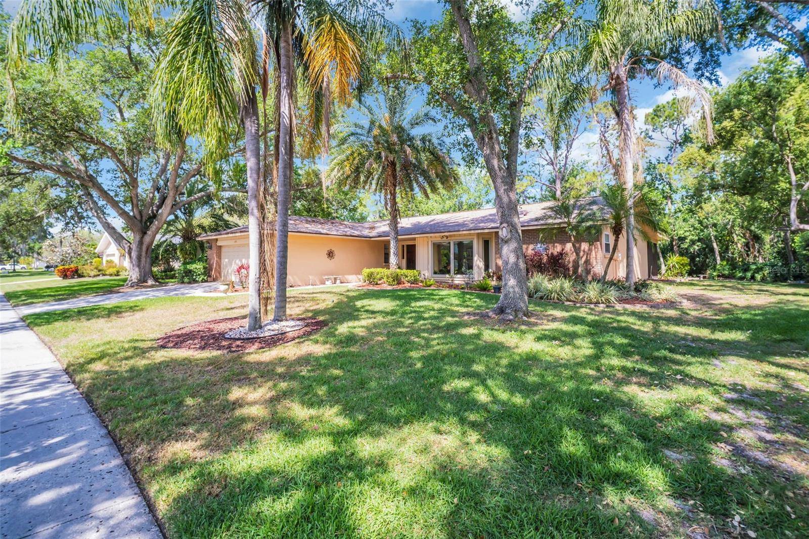 Oldsmar, FL 34677,495 PALMDALE DR