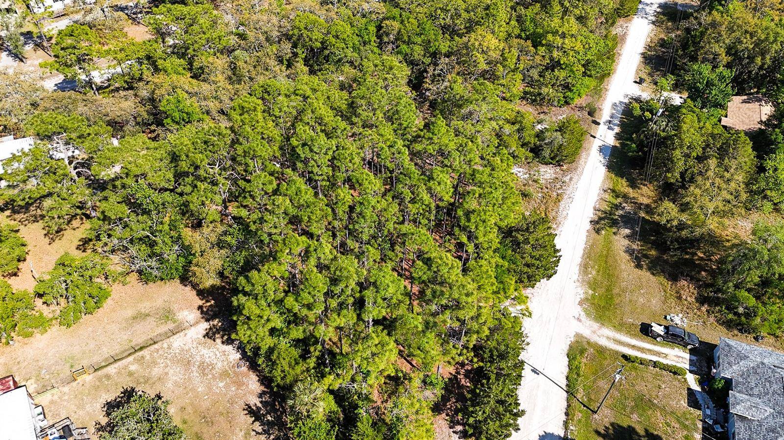 Homosassa, FL 34446,5631 S ATLANTIS WAY