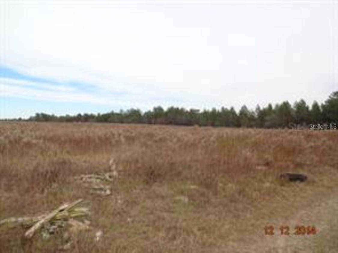 Spring Hill, FL 34610,17520 COUNTY LINE RD