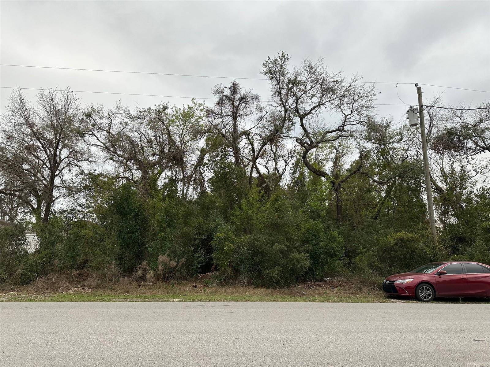 Spring Hill, FL 34609,14152 FIREFLY ST