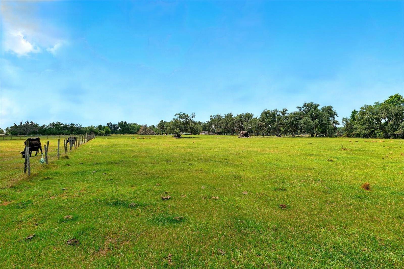 Lithia, FL 33547,3535 E KEYSVILLE RD